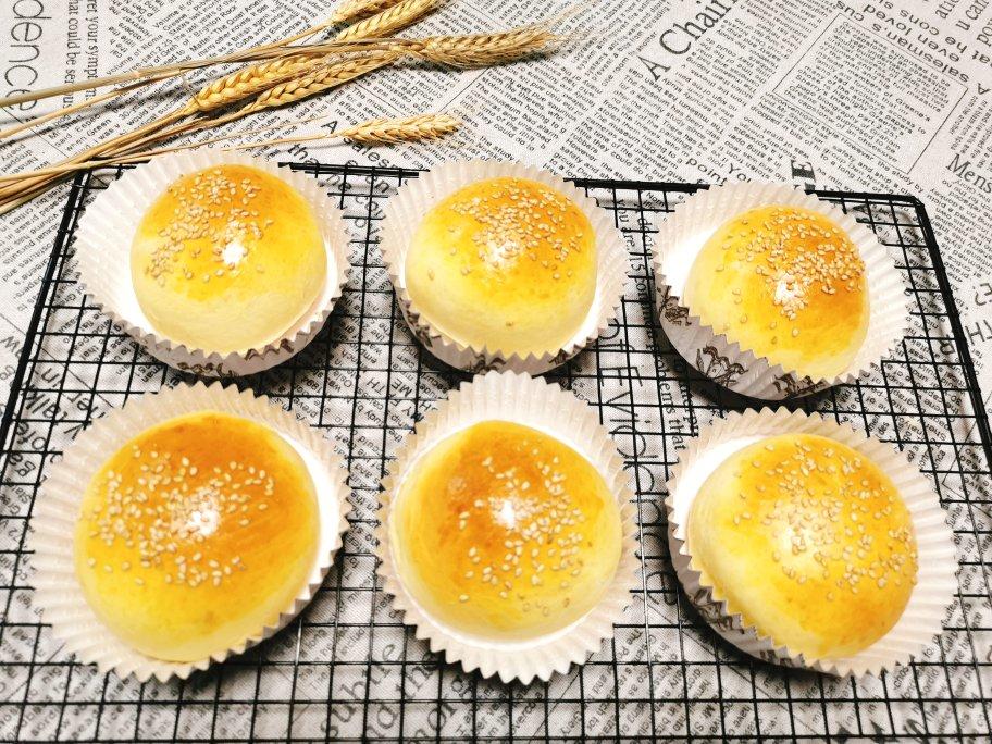 汉堡胚 poolish（波兰种）