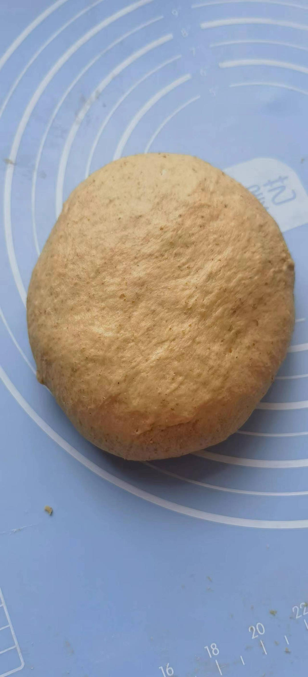 汤种全麦吐司～松软，麦香十足