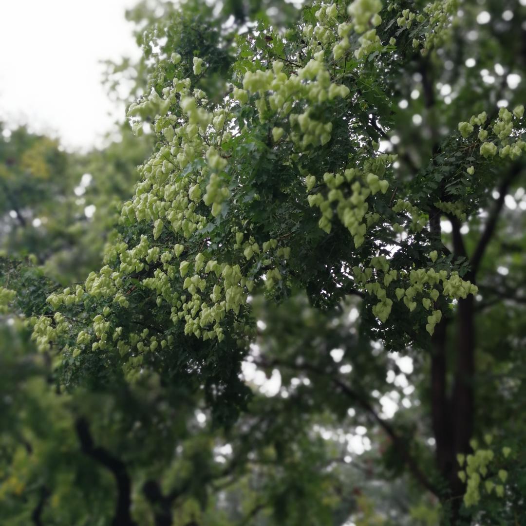 我的小秘密