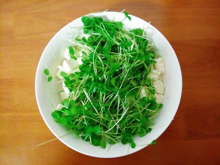 香椿苗拌嫩豆腐