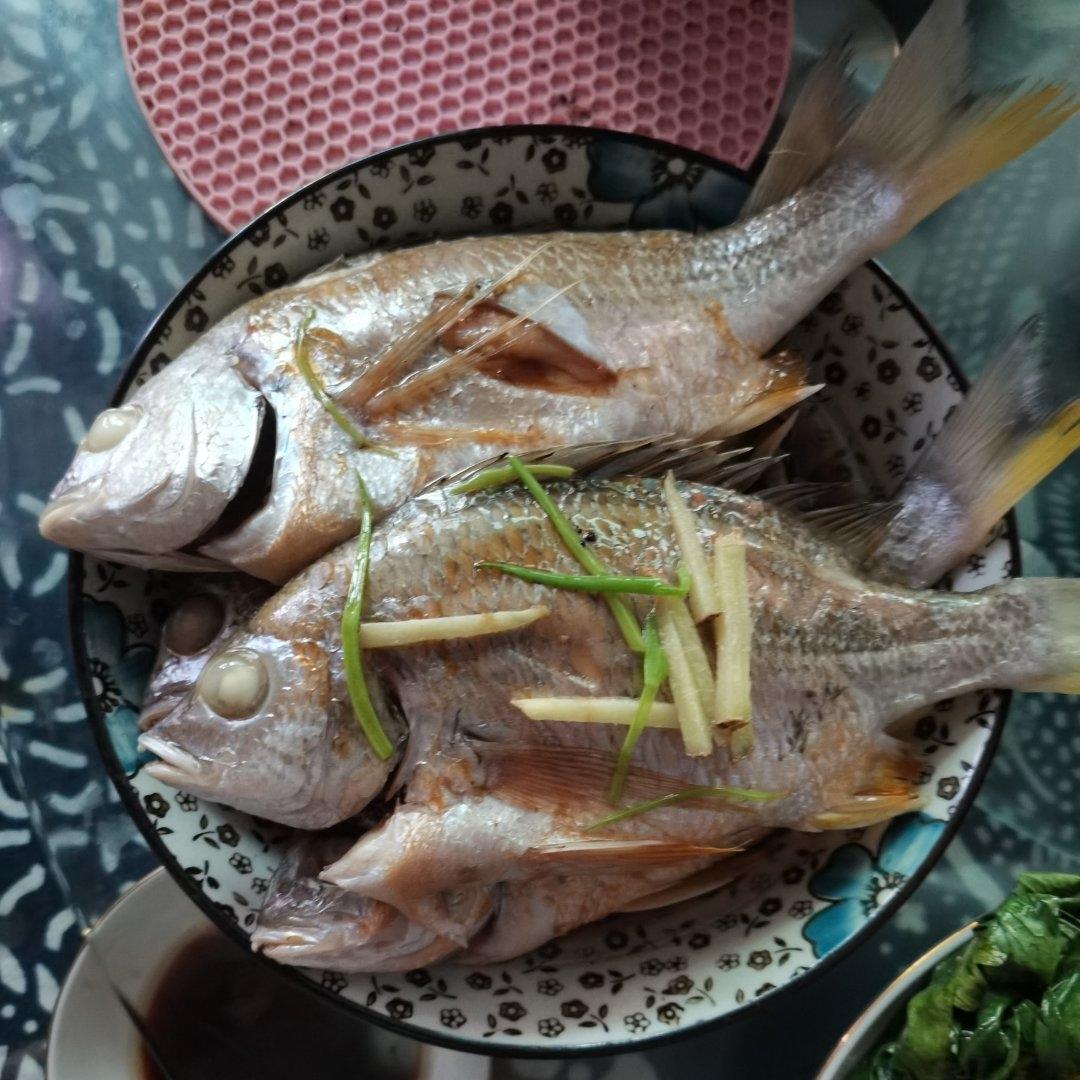 零难度♨️清蒸大黄鱼，肉质超鲜嫩~