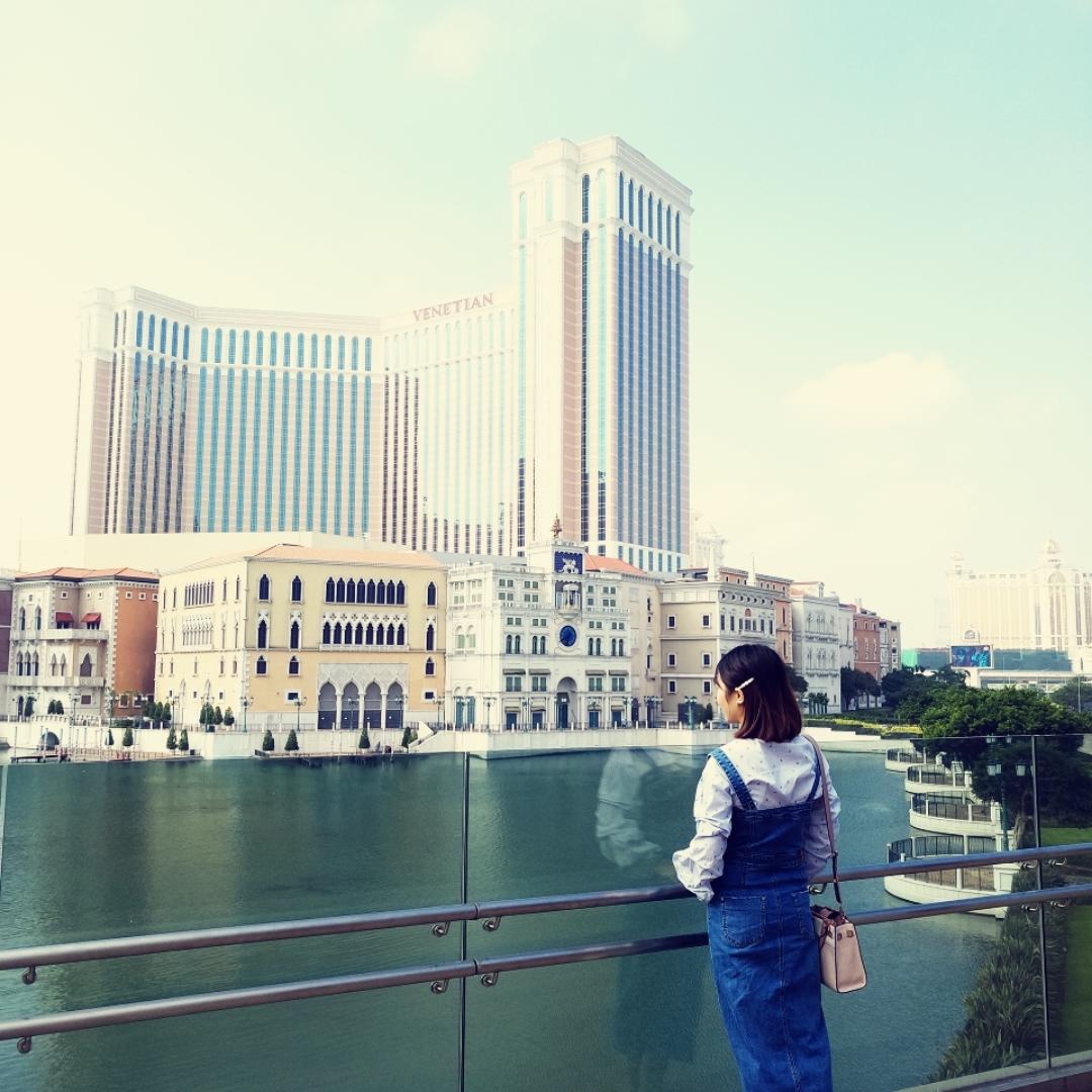 小黑蚊