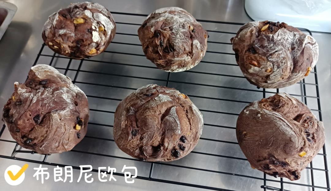布朗尼面包是什么味儿？到底还不好吃！
