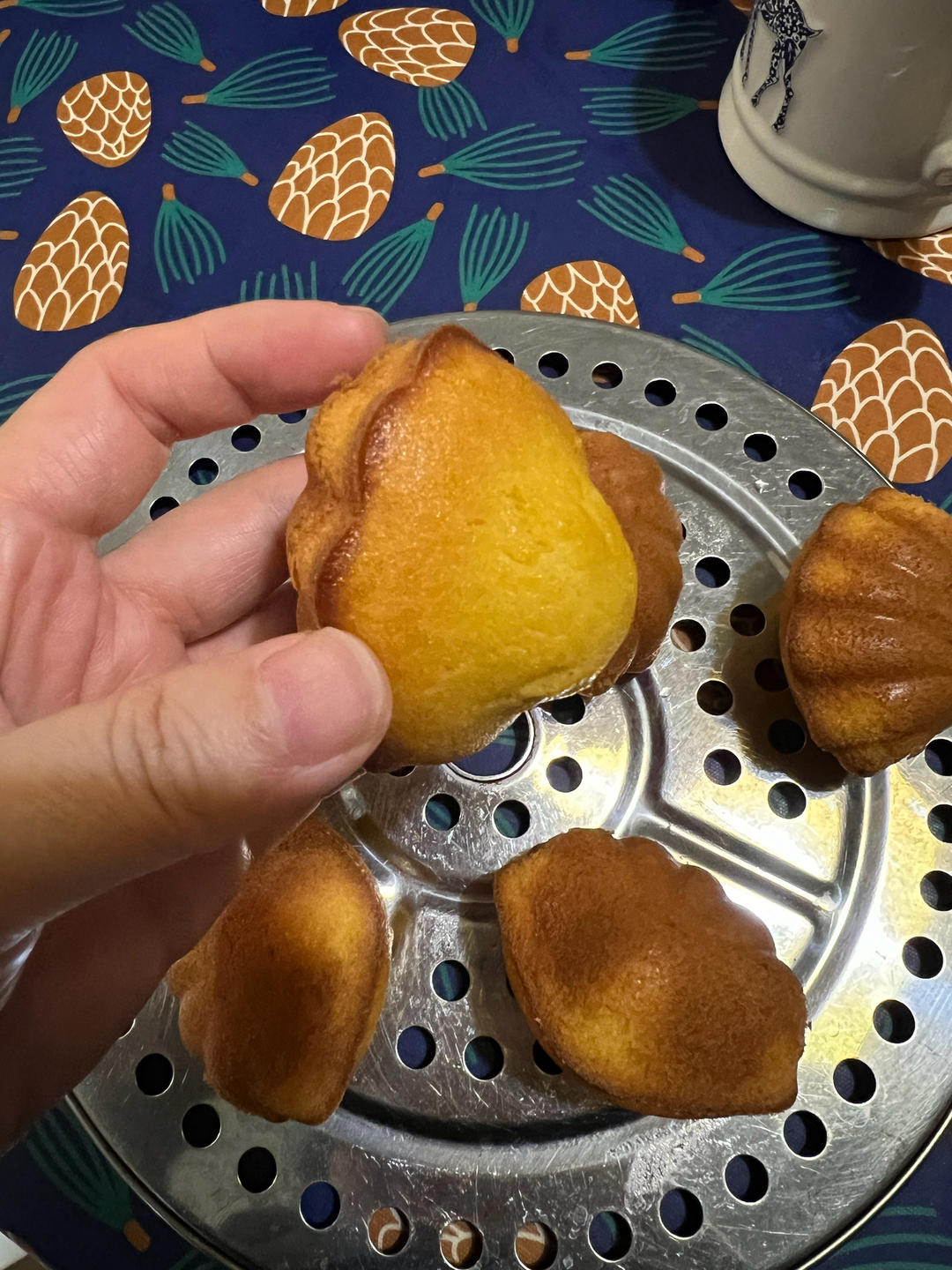 玛德琳（蓝带方）