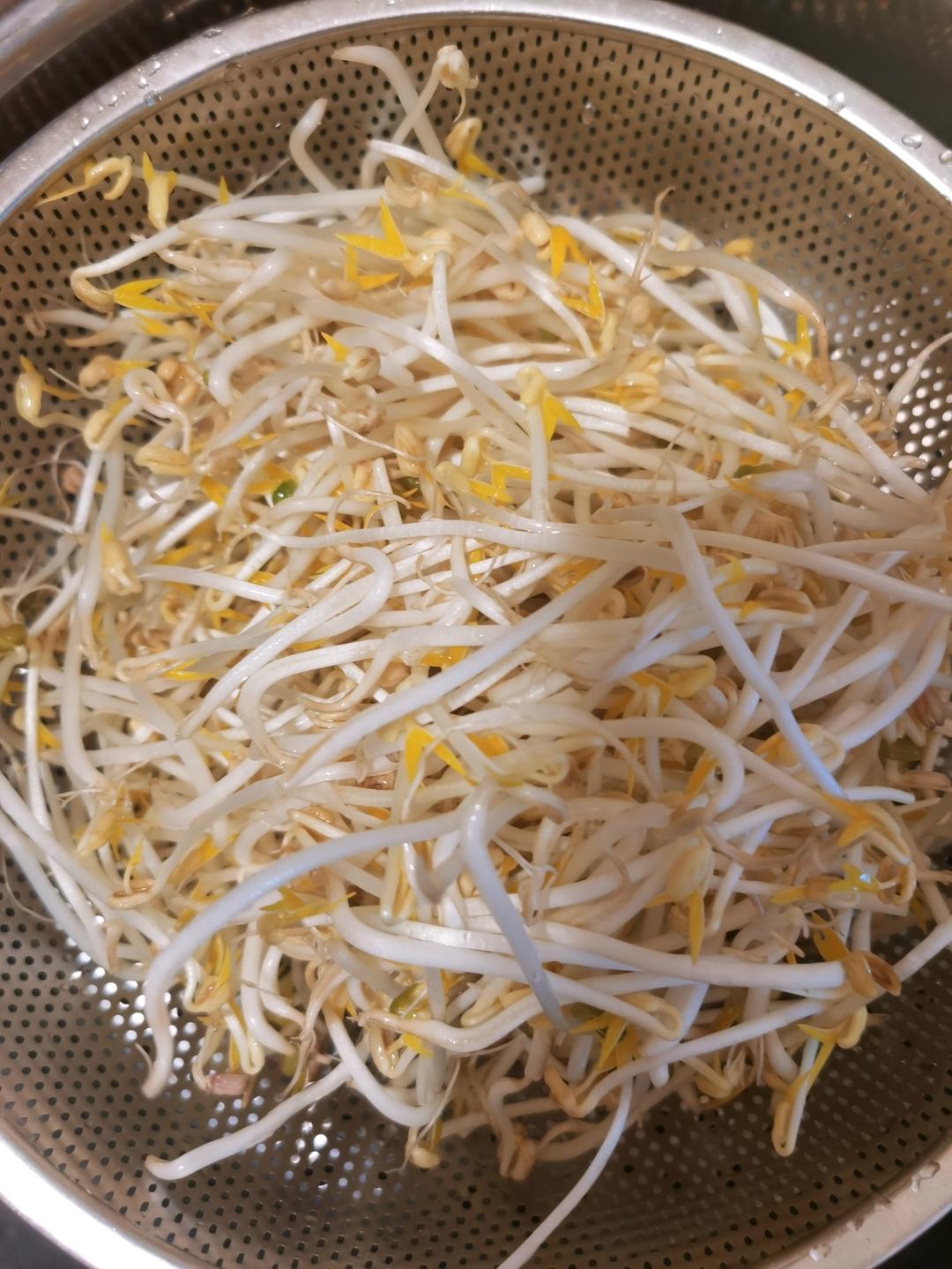 自发绿豆芽/自生豆芽/自制豆芽