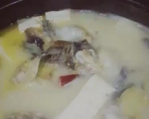冬天必煮黄刺鱼豆腐汤的做法
