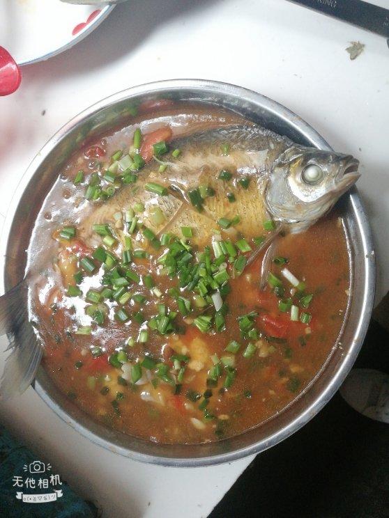 万用蒸鱼法