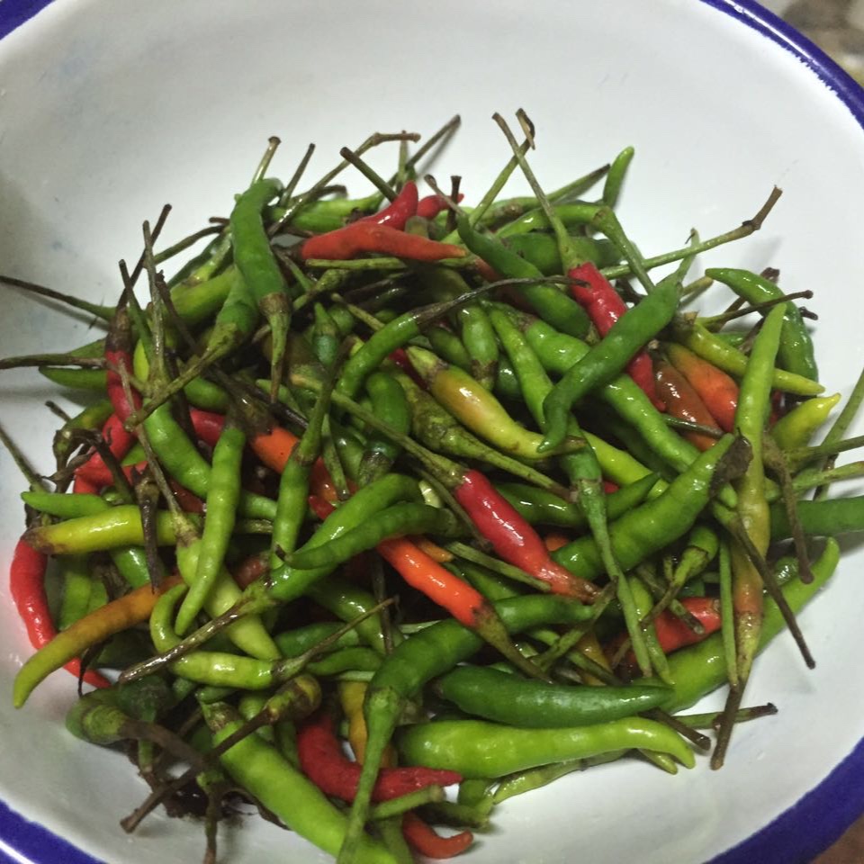 腌辣椒