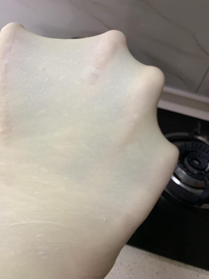 博世54251厨师机手套膜