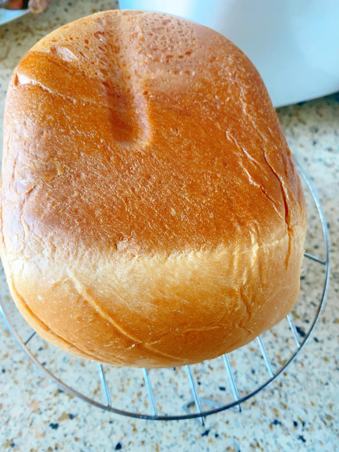 松下面包机～快手吐司🍞