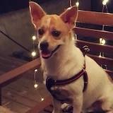 从天而降的小福气