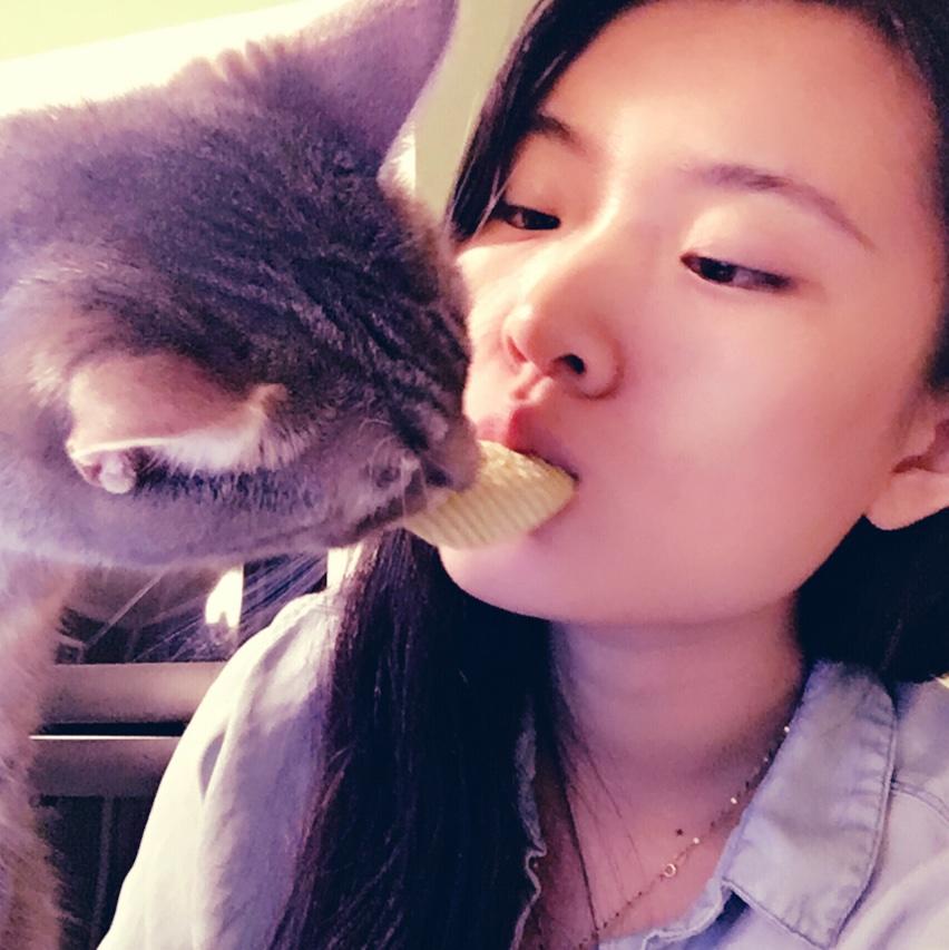 猫奴小雪