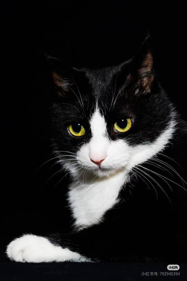 下厨房用户_b1nhe