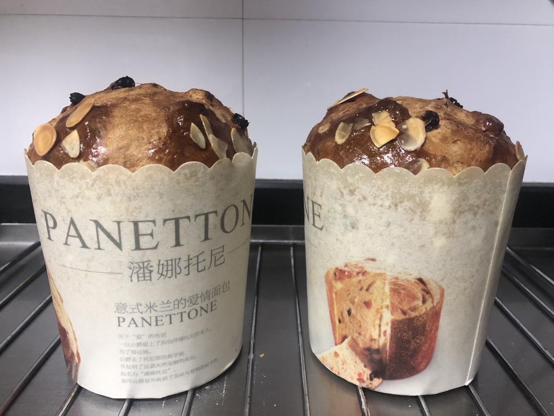 圣诞面包--潘娜托尼Panettone