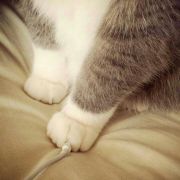 负能量看样子要爆棚