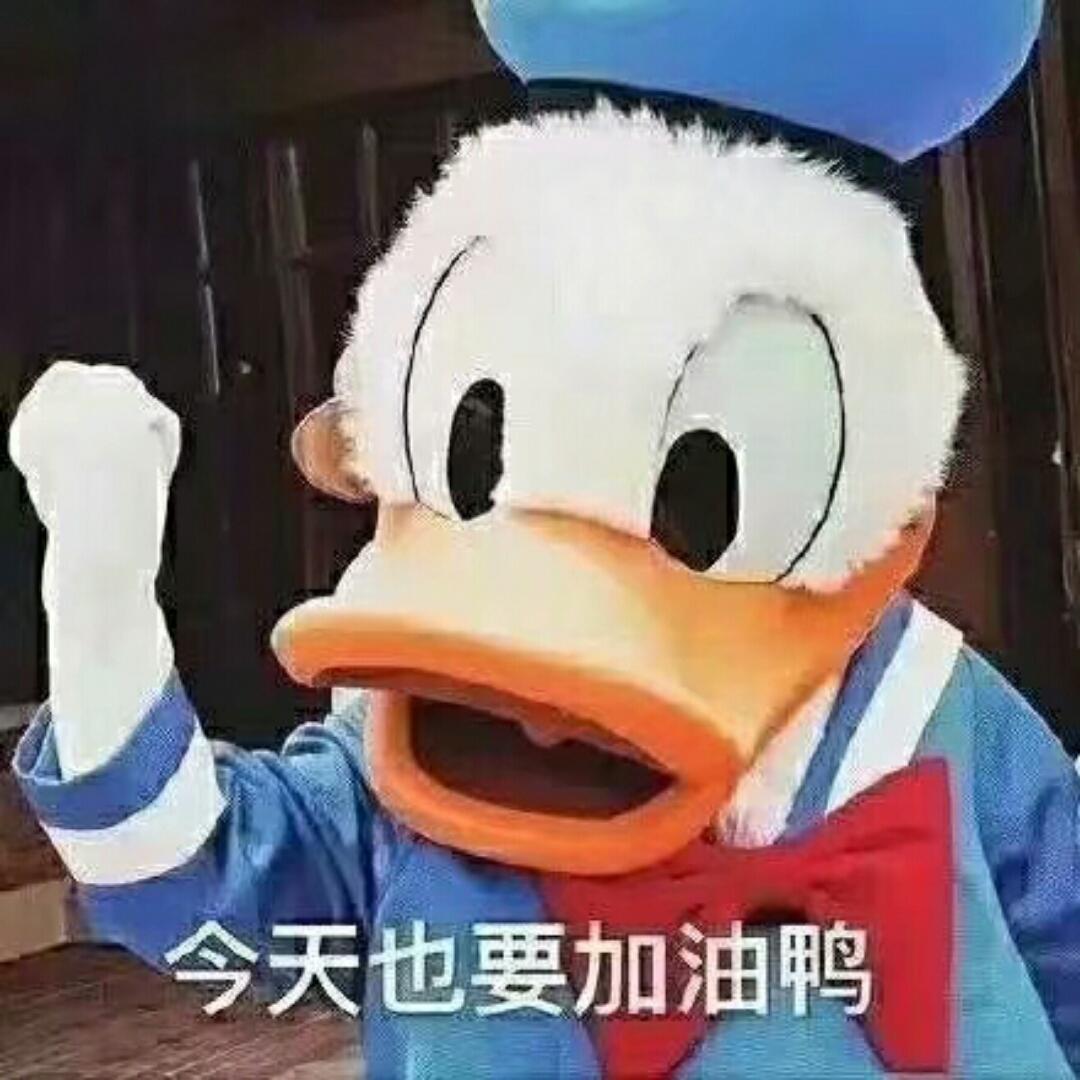 林中月啊
