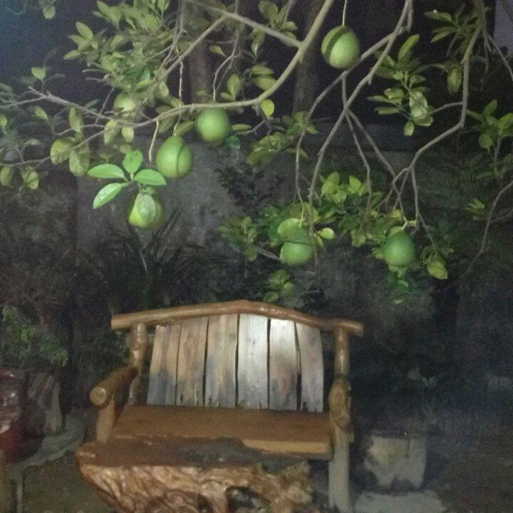 手机用户7885_ouk8