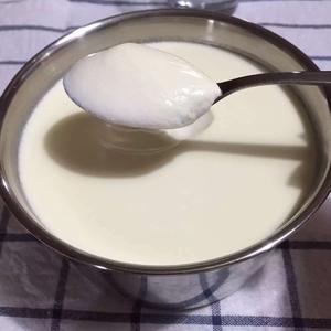 懒人版自制希腊酸奶的做法 步骤2