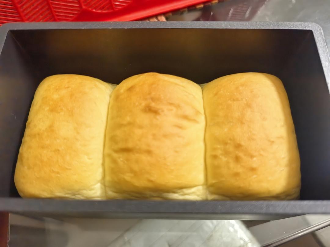 阳光明媚的一天