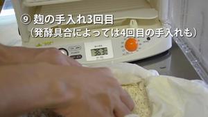 自制米麴（米曲）的做法 步骤9