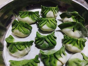 清新白菜饺子—百财如意的做法 步骤14