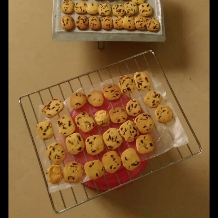 低糖少油版蔓越莓饼干
