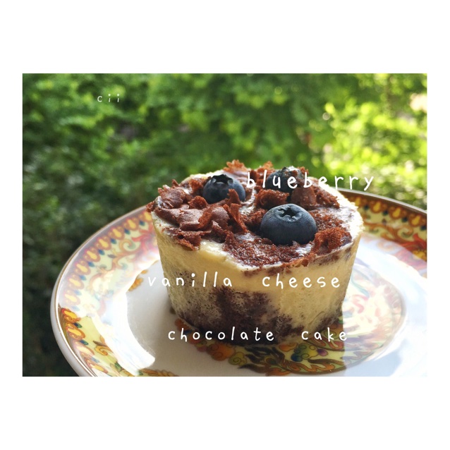 香草奶油芝士蛋糕