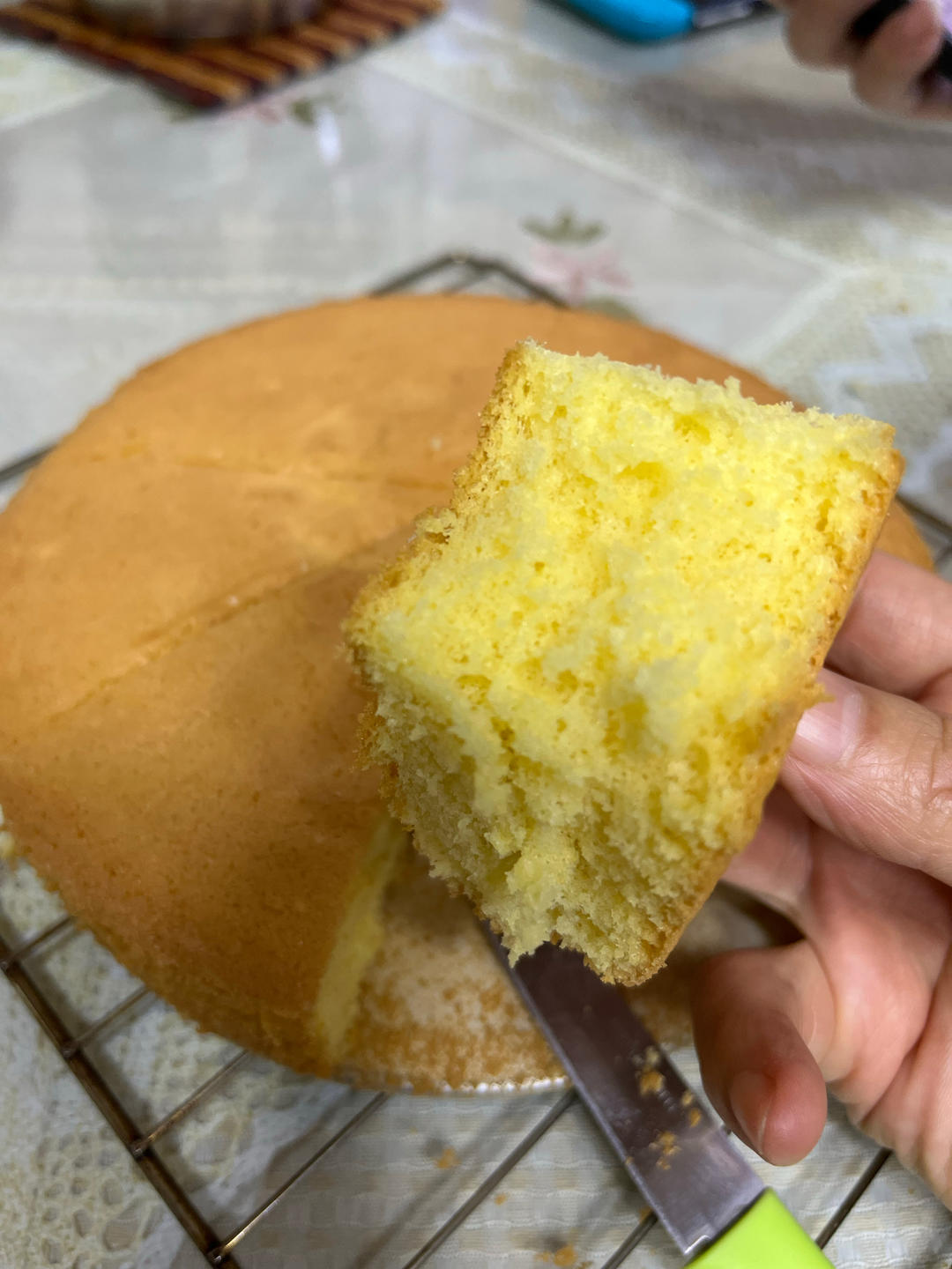 海绵蛋糕（全蛋蛋糕）