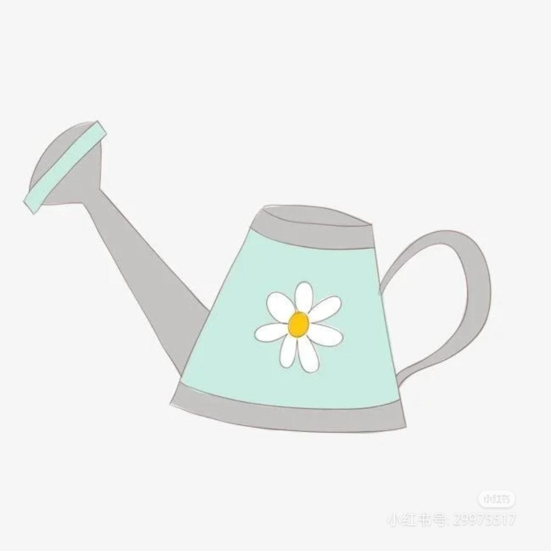 真不知道吃什么