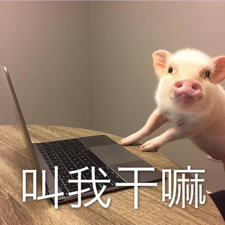 一个机器人77