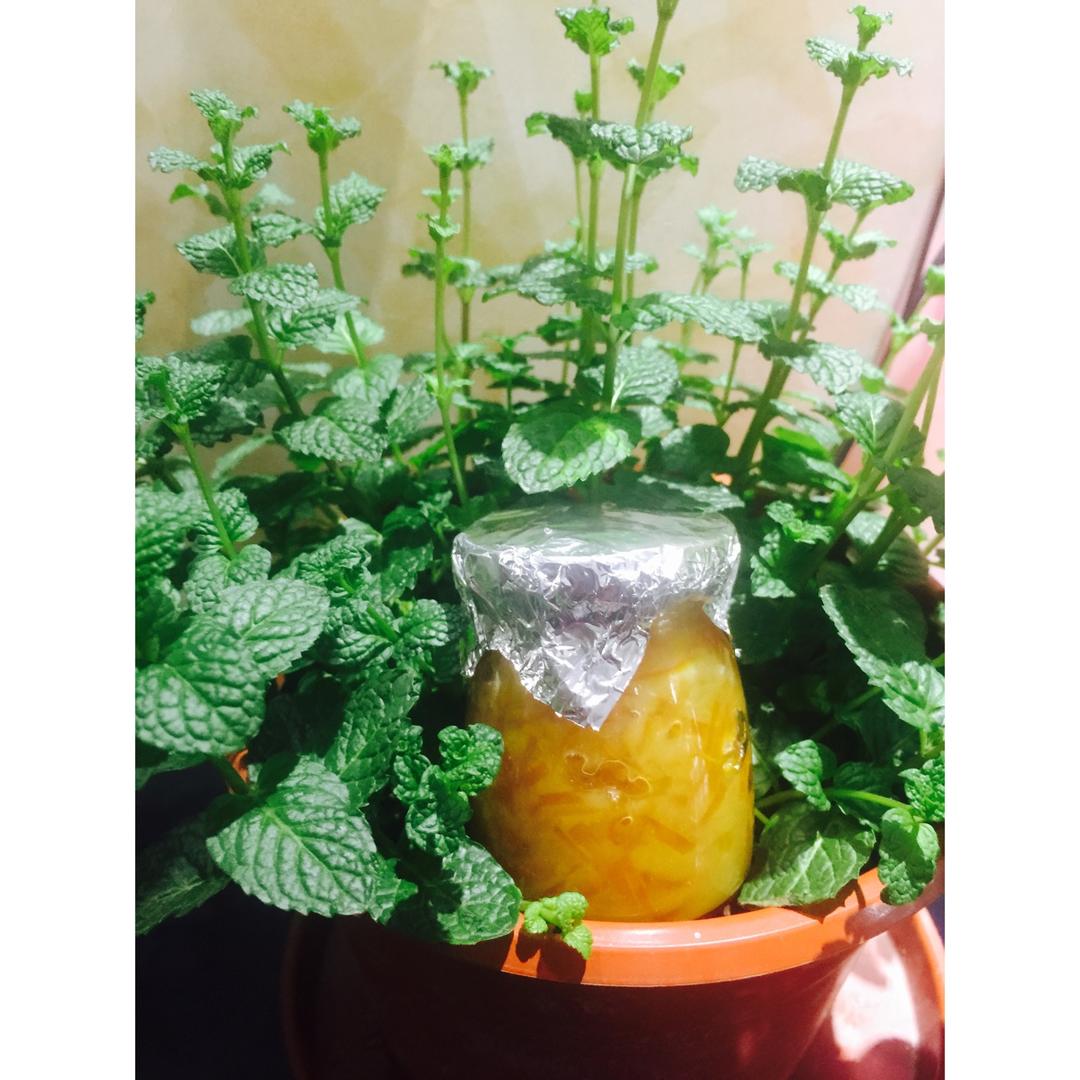 橙皮果酱