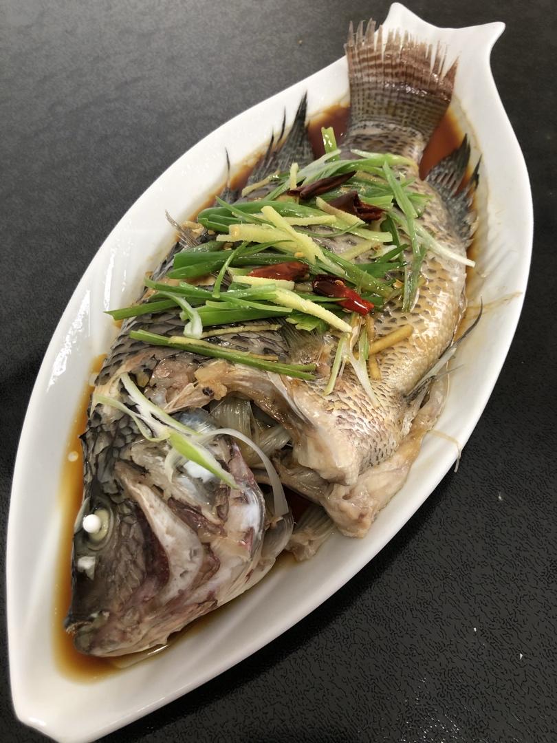 清蒸罗非鱼