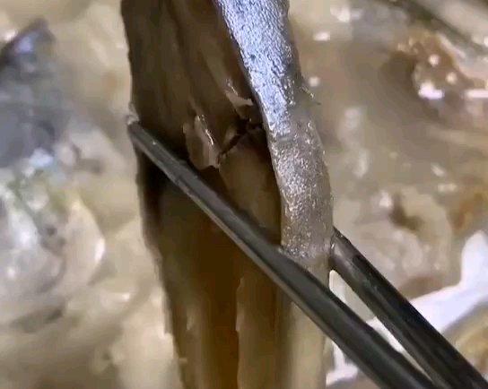 香，22元的深海金鲳鱼