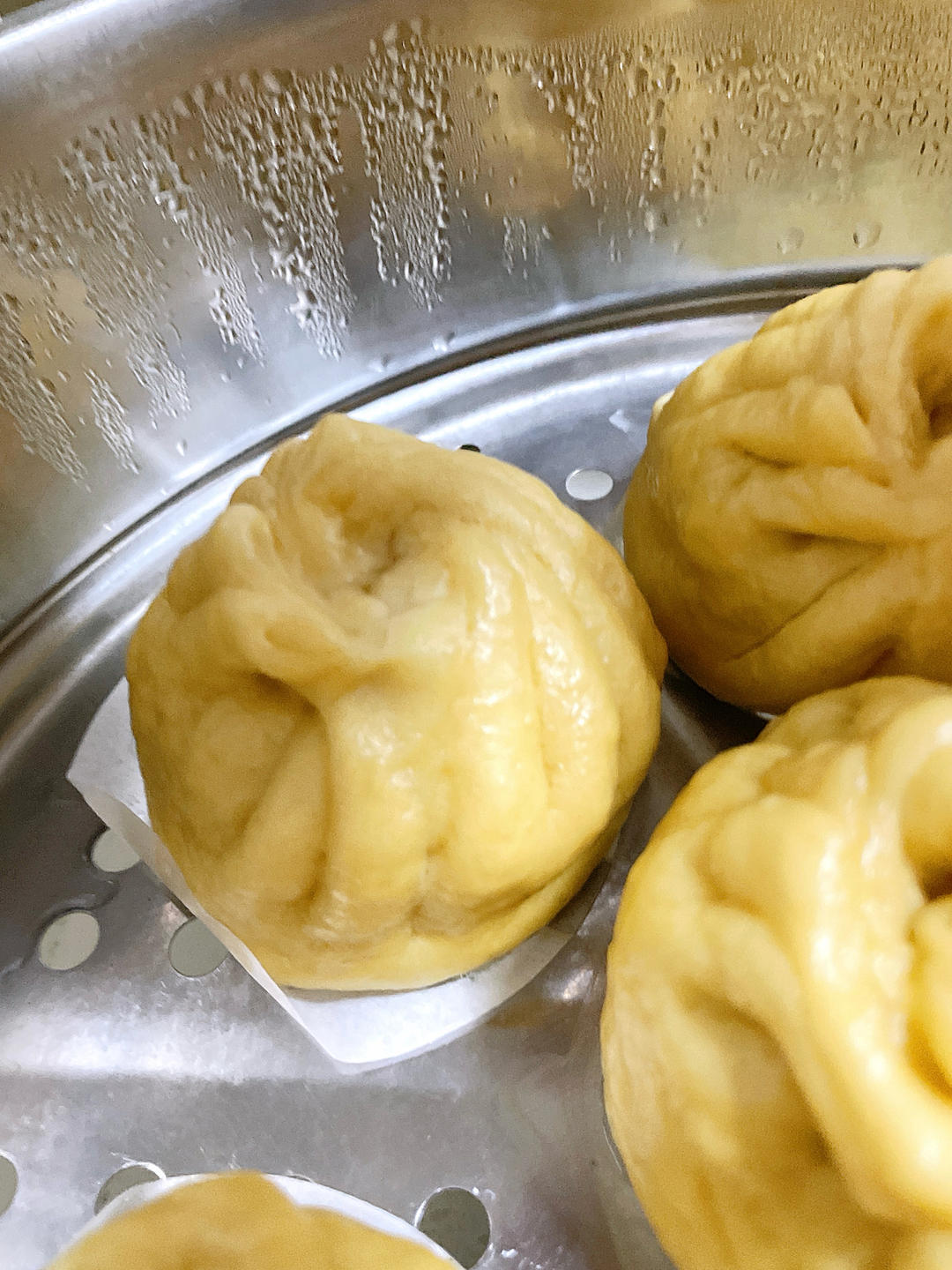 一次发酵肉包子