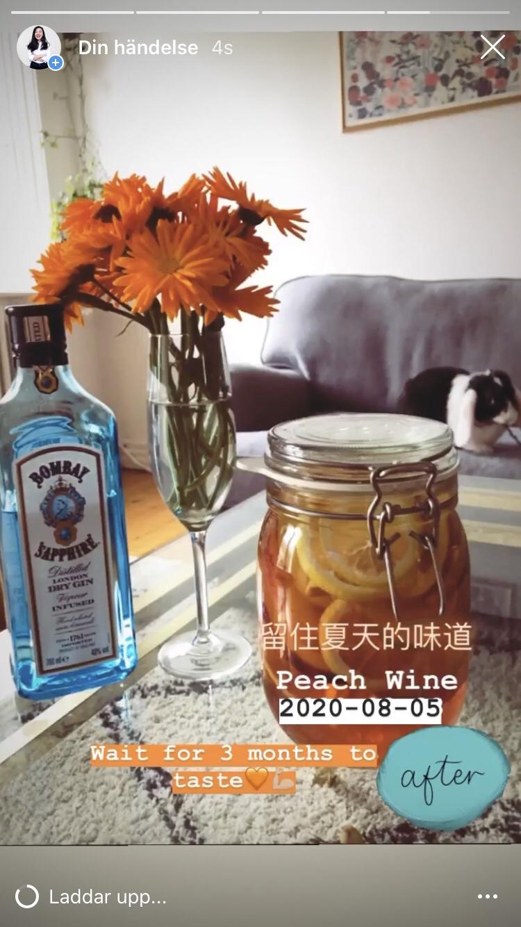 简单食谱｜桃子酒的做法