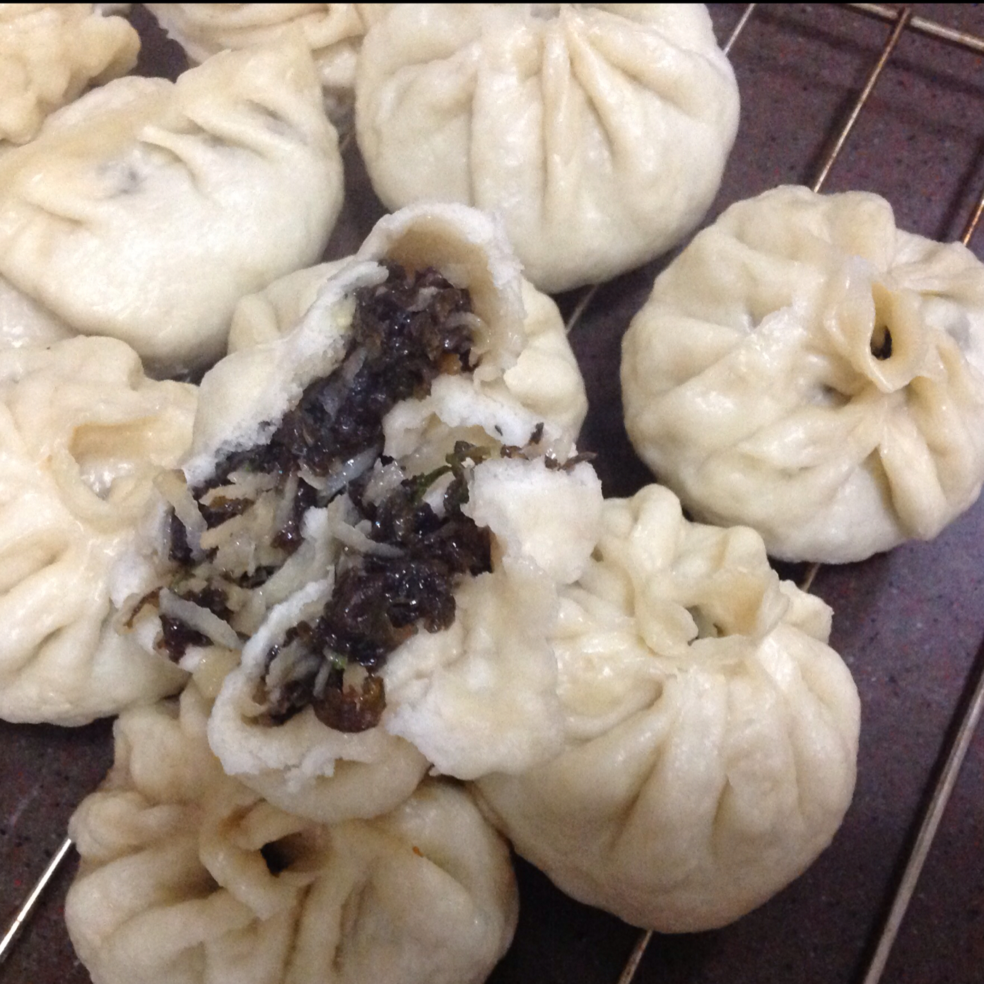 地皮菜包子的全部作品