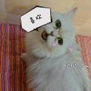 手机用户0740_tglq