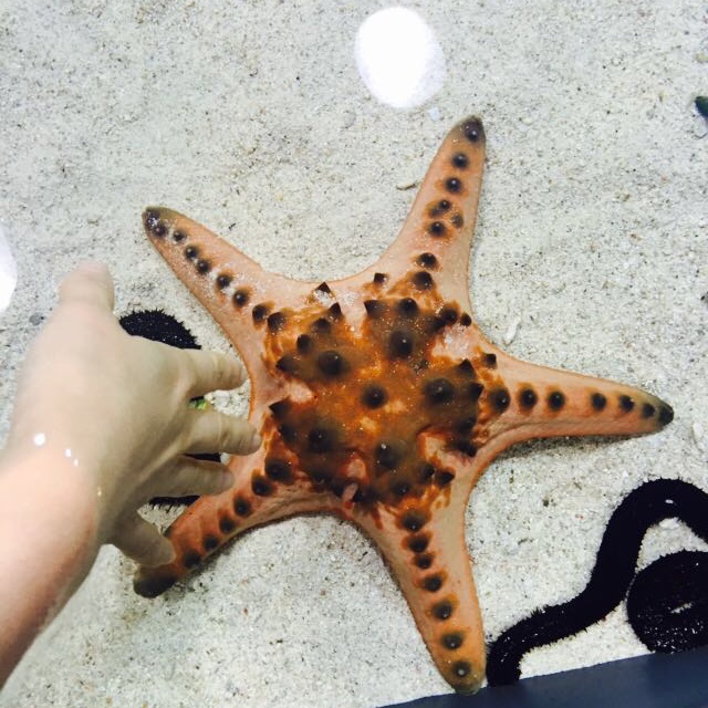 只晓得赢1117226903