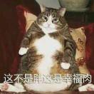 重度减肥困难户