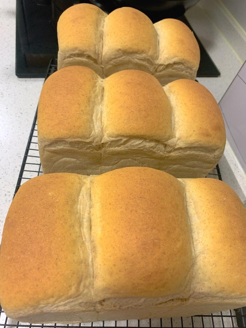 烫种超软全麦吐司