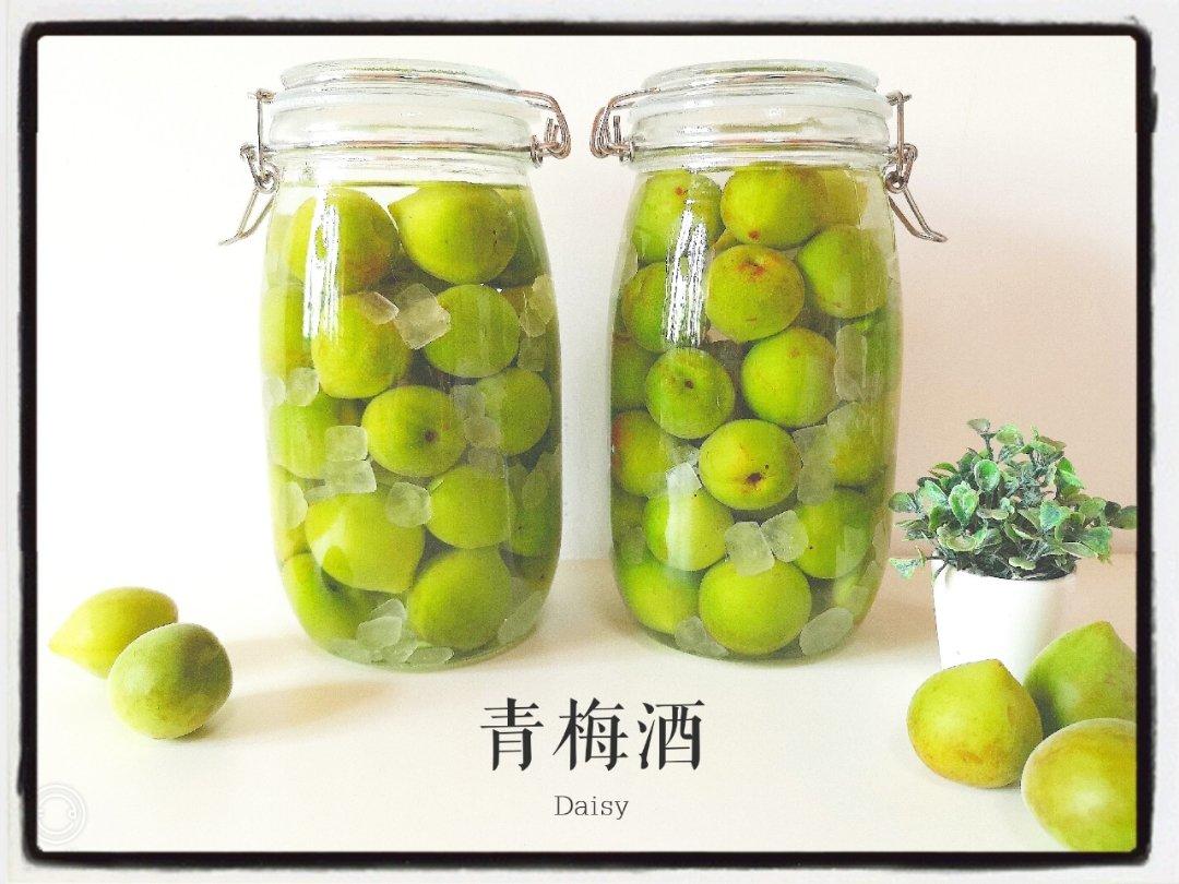 【青梅酒】梅子的沉醉时光（已填坑）