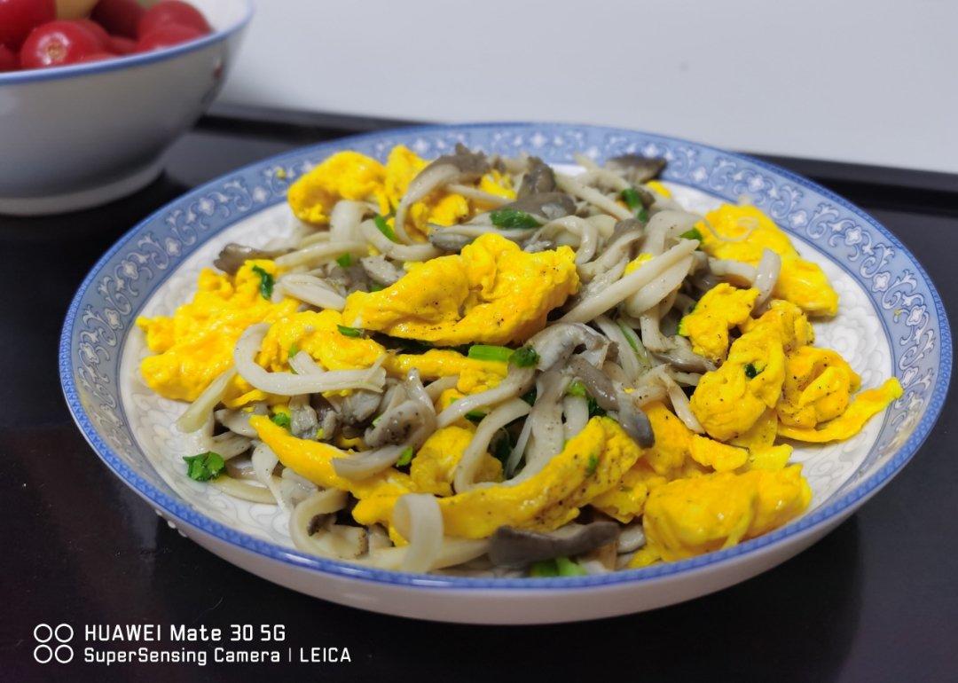 家常入味香菜平菇炒蛋