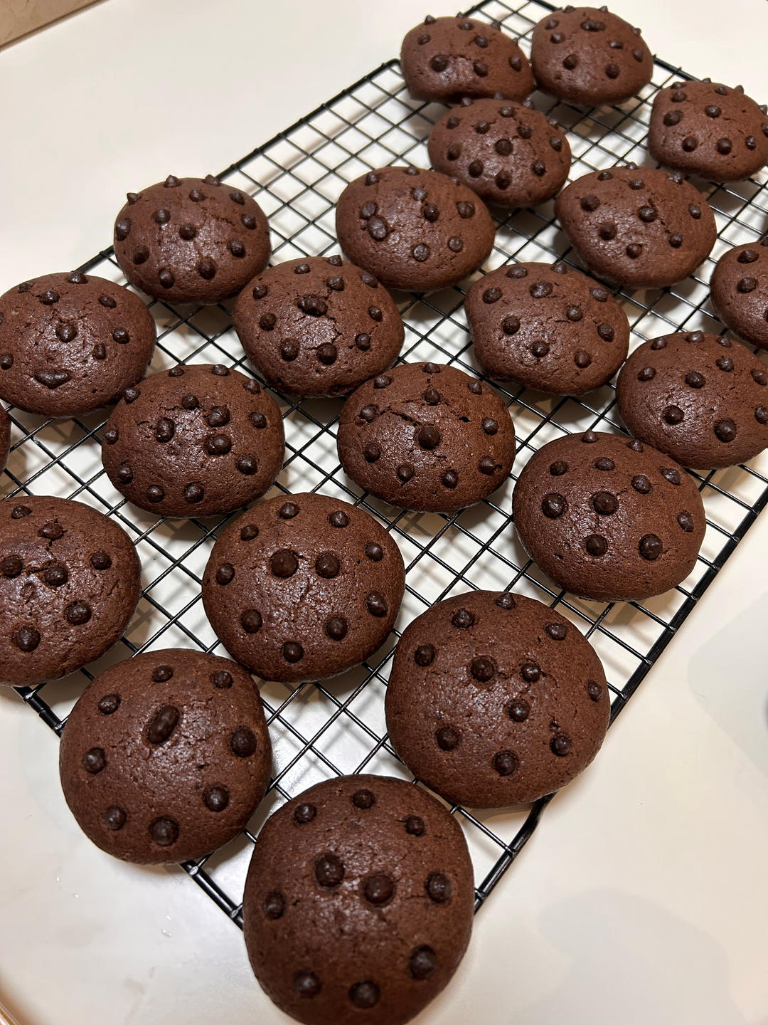 比趣多多还要好吃“巧克力豆曲奇饼干”