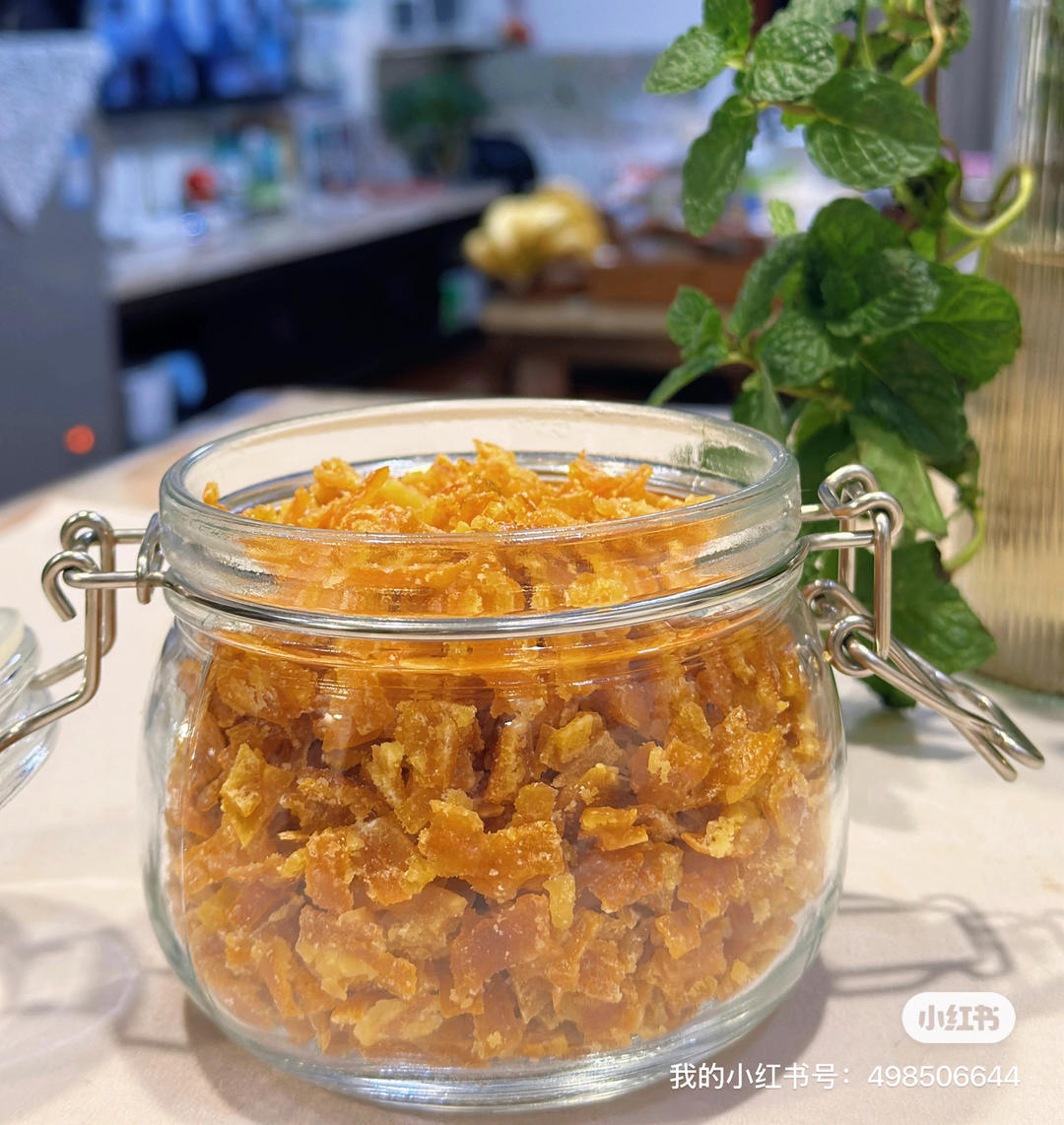 糖渍橙皮丁