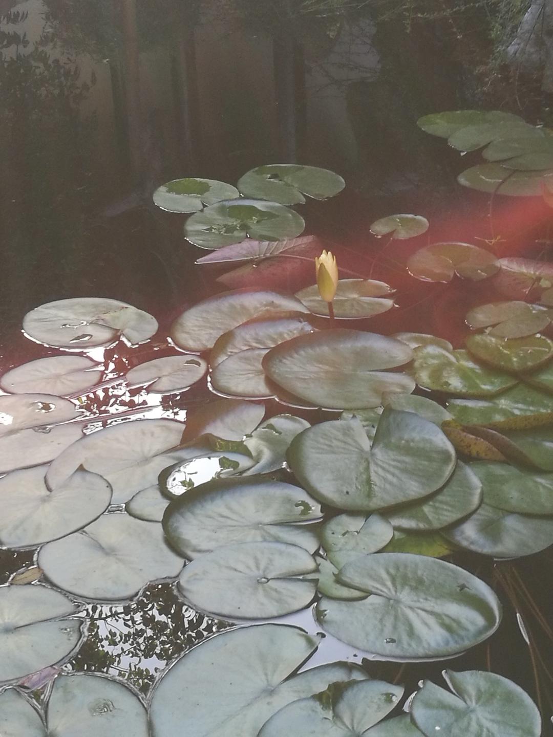 阶前秋水孟浪逼上眼