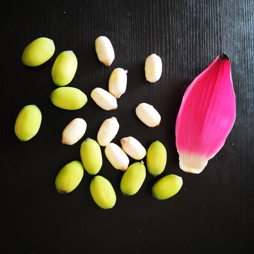新鲜莲子