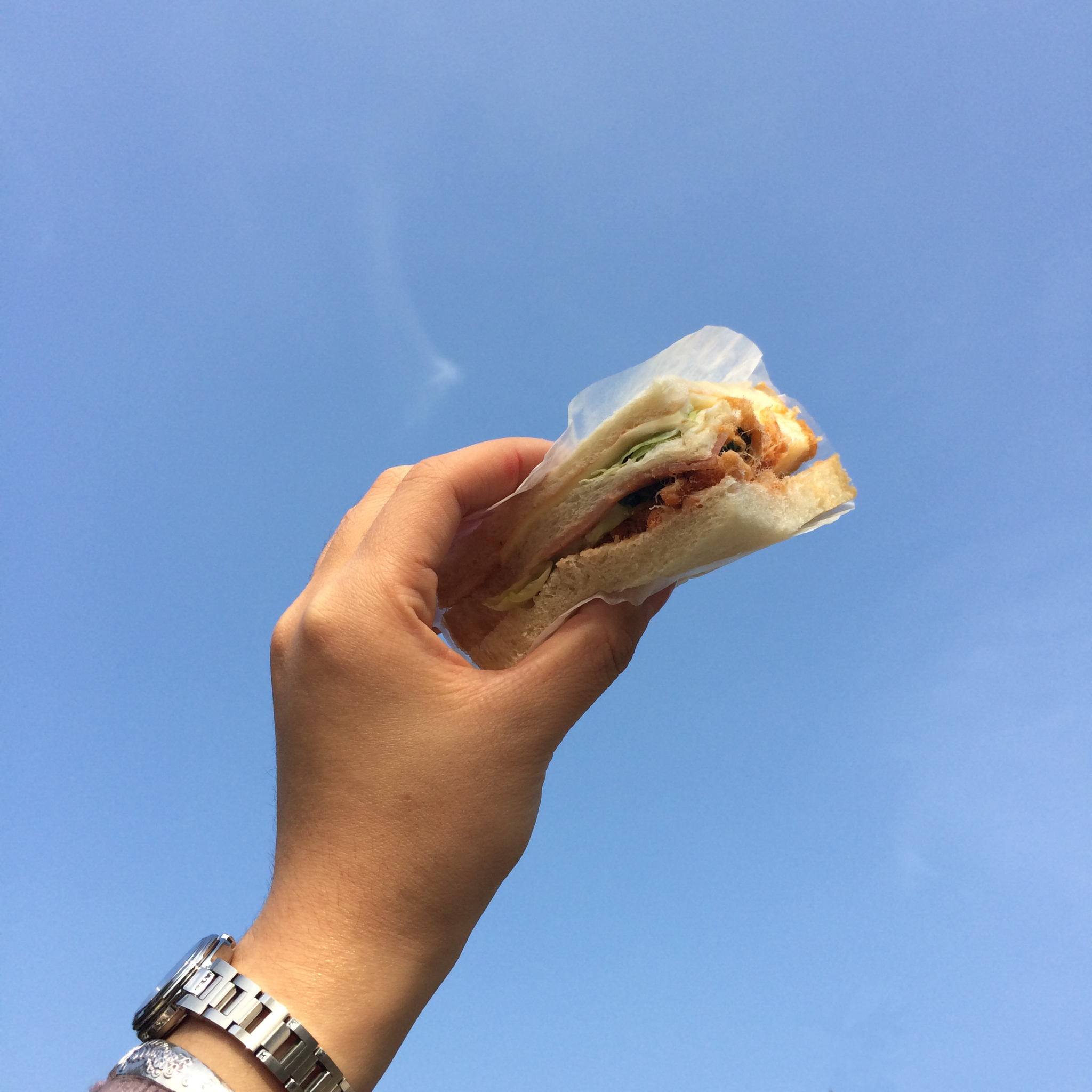 减脂万岁