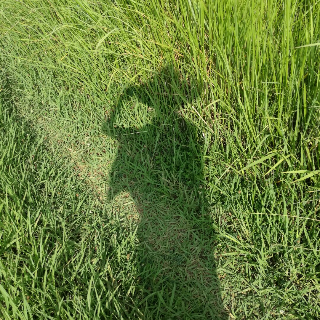 手机用户4248_tgy4