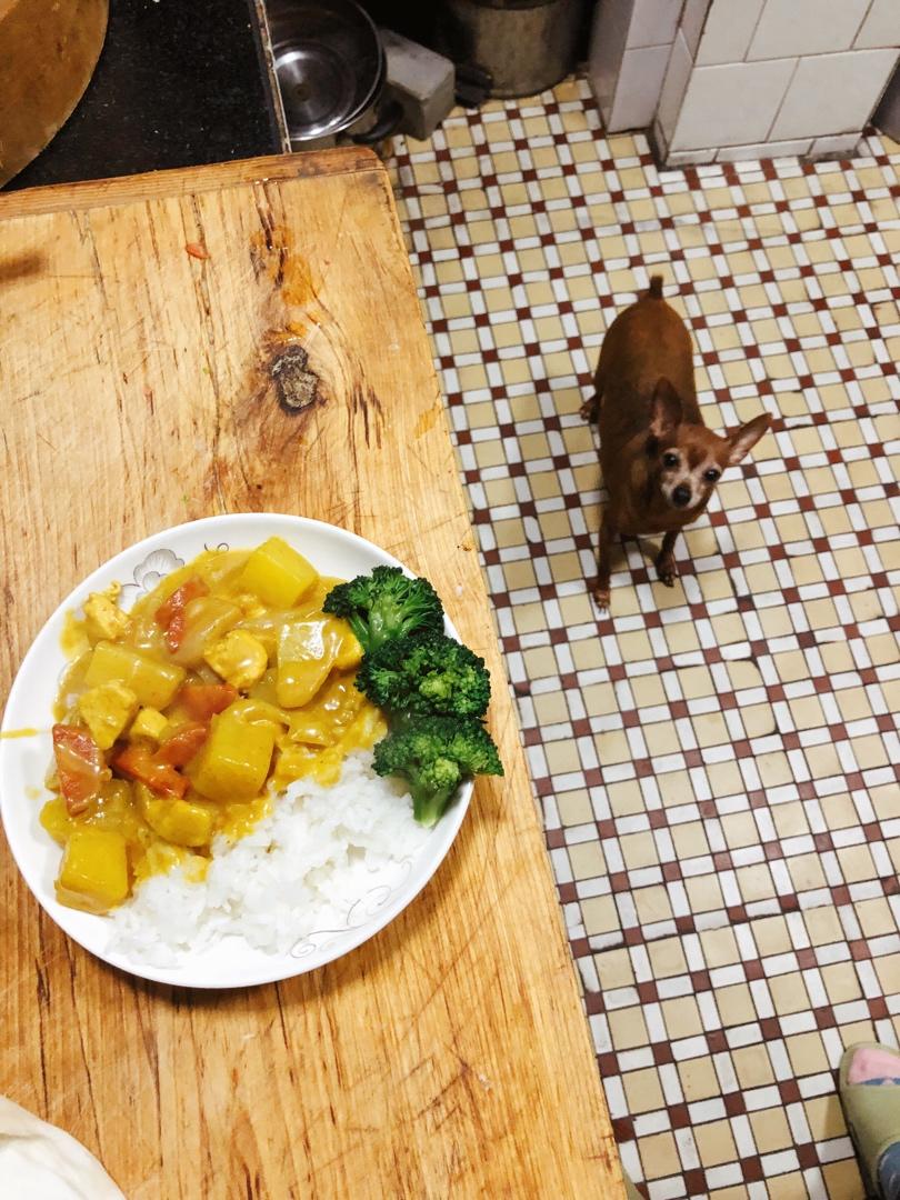 零失败日式咖喱鸡肉饭！！最正宗日本家庭做法！简单又好吃！