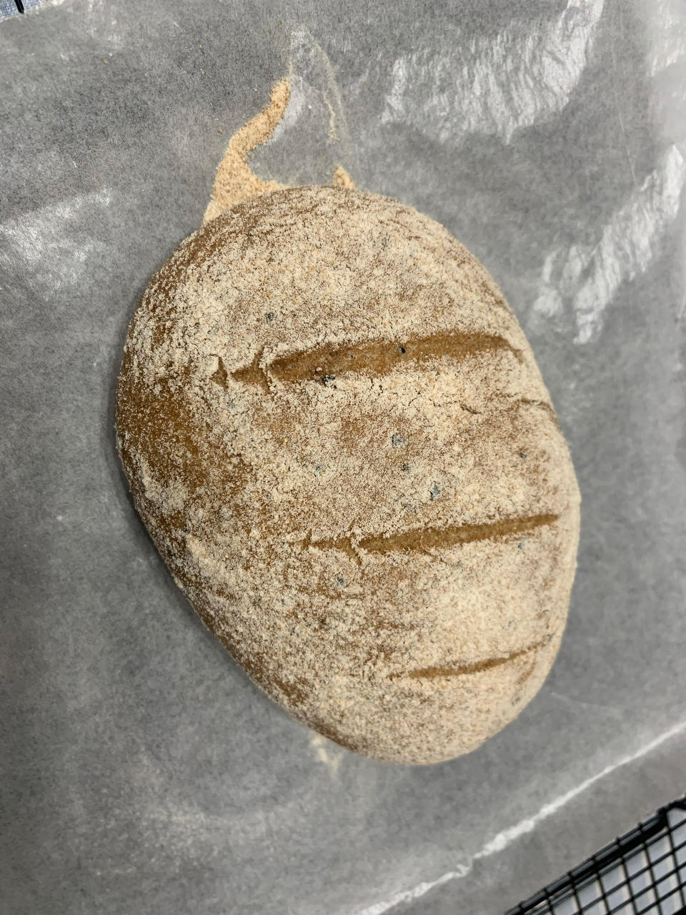 无油无糖无需手套膜的低脂全麦面包